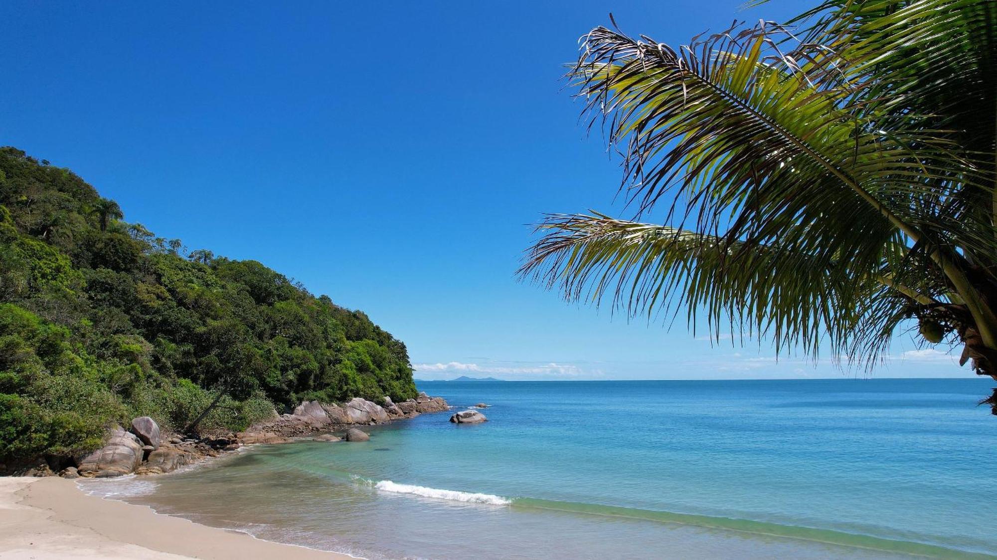 Jardim Praia do Estaleiro - Bangalô Casa das Palmeiras Porto Belo Exterior foto